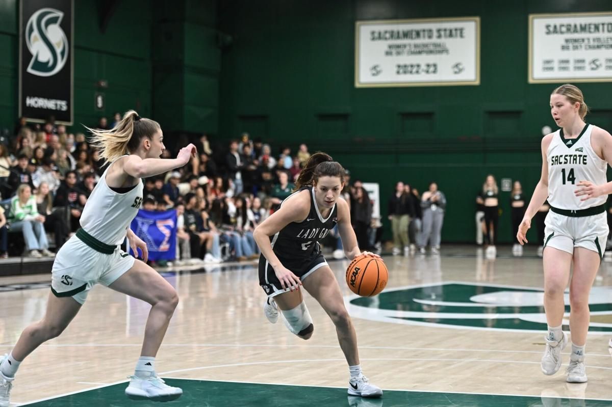 Sacramento State Hornets at Montana Lady Grizzlies Womens Basketball