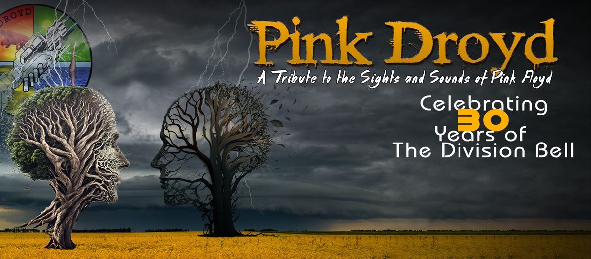 Pink Droyd: 30 Years of The Division Bell