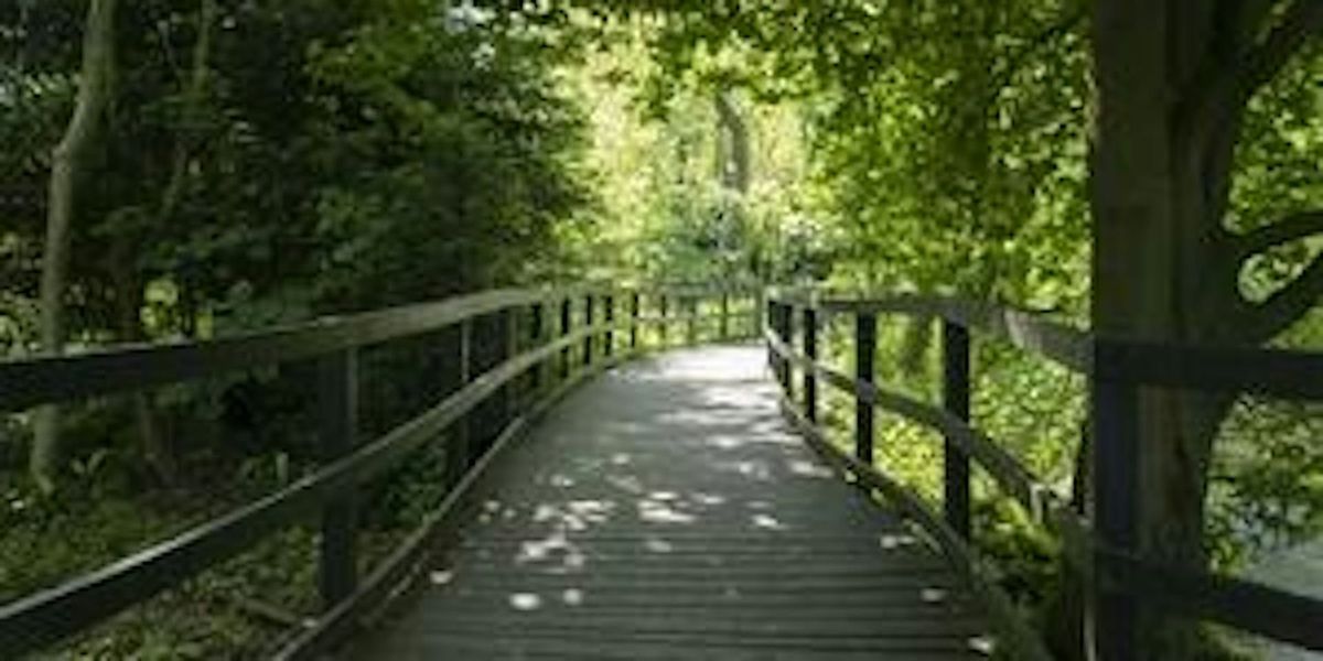 Wild Walk and Draw at The Wolseley Centre