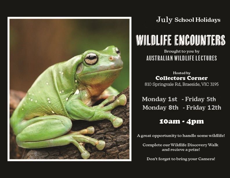 School Holiday Fun - Wildlife Encounters - Free Event
