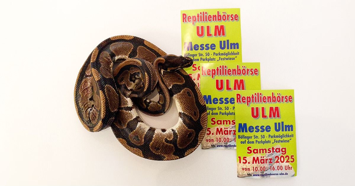 Reptilienb\u00f6rse Ulm, Halle3 Messe Ulm