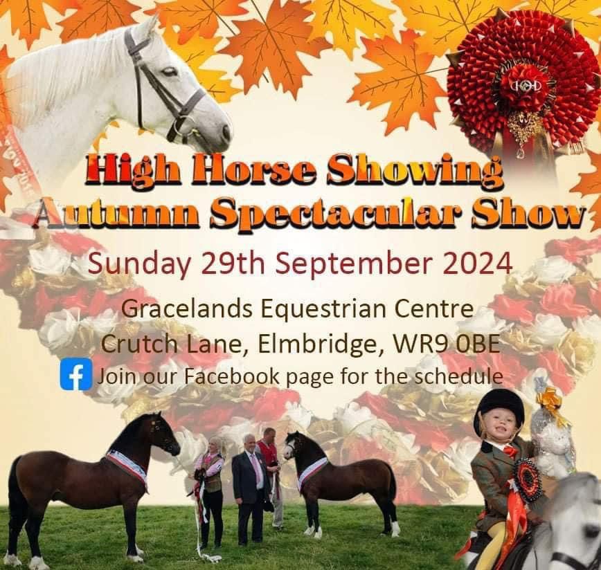 The High Horse Showing Show