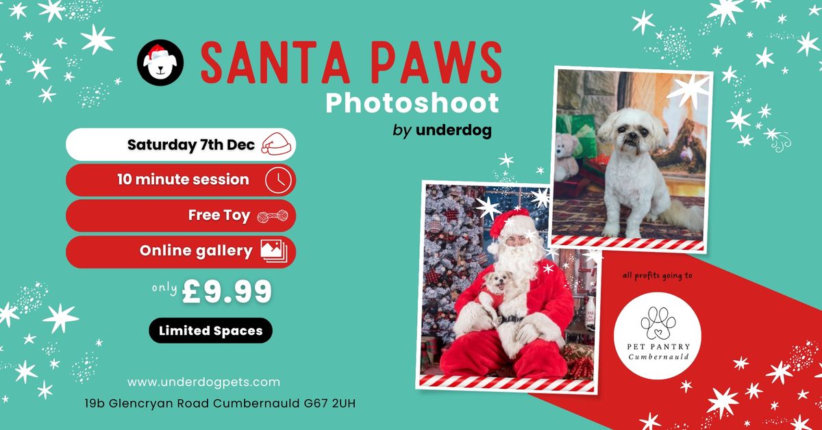 Santa Paws Photoshoot