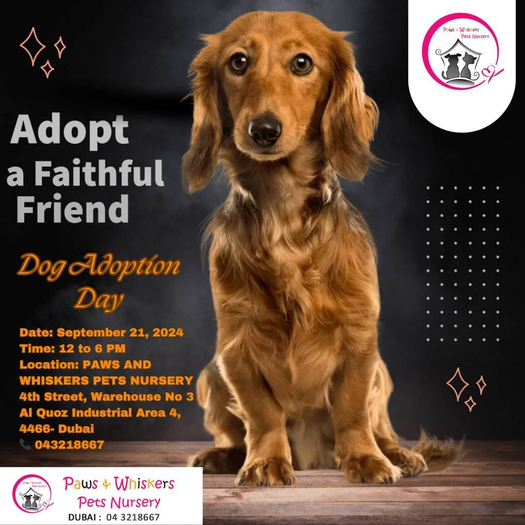 Dog Adoption Day \ud83d\udc36