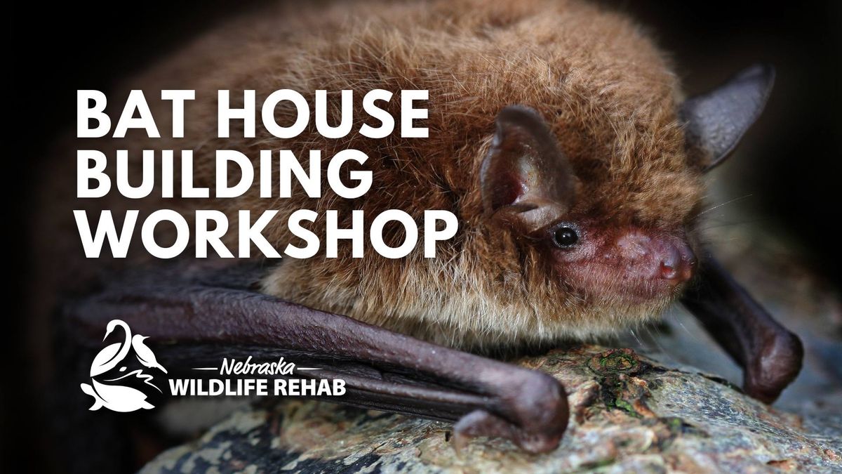 Workshops for Wildlife: Bat House Building