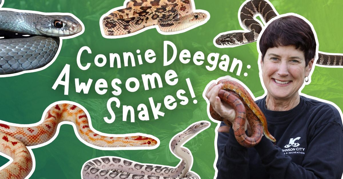 Connie Deegan: Awesome Snakes!