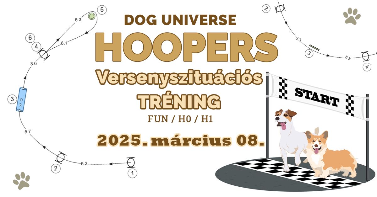 Dog Universe versenyszitu\u00e1ci\u00f3s Hoopers tr\u00e9ning