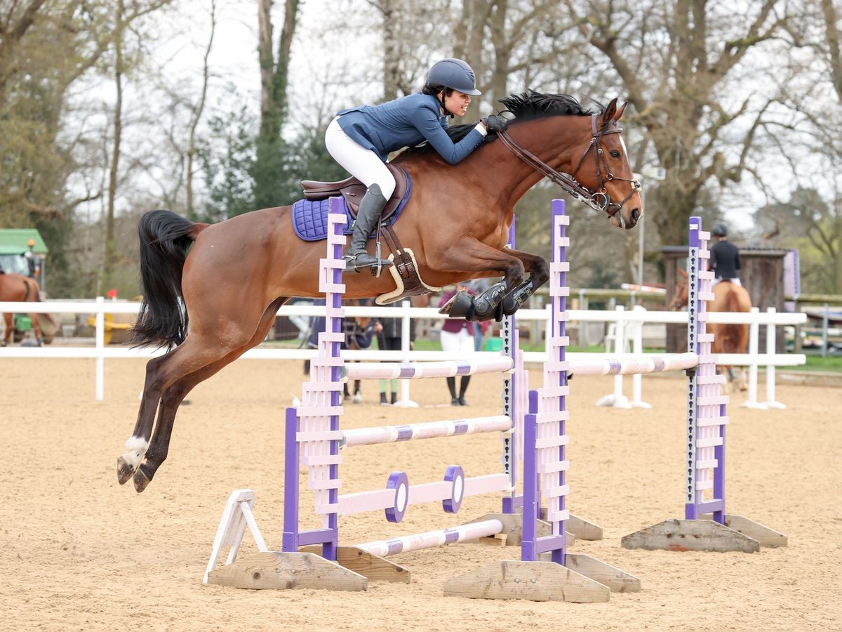 British Show Jumping CAT 2