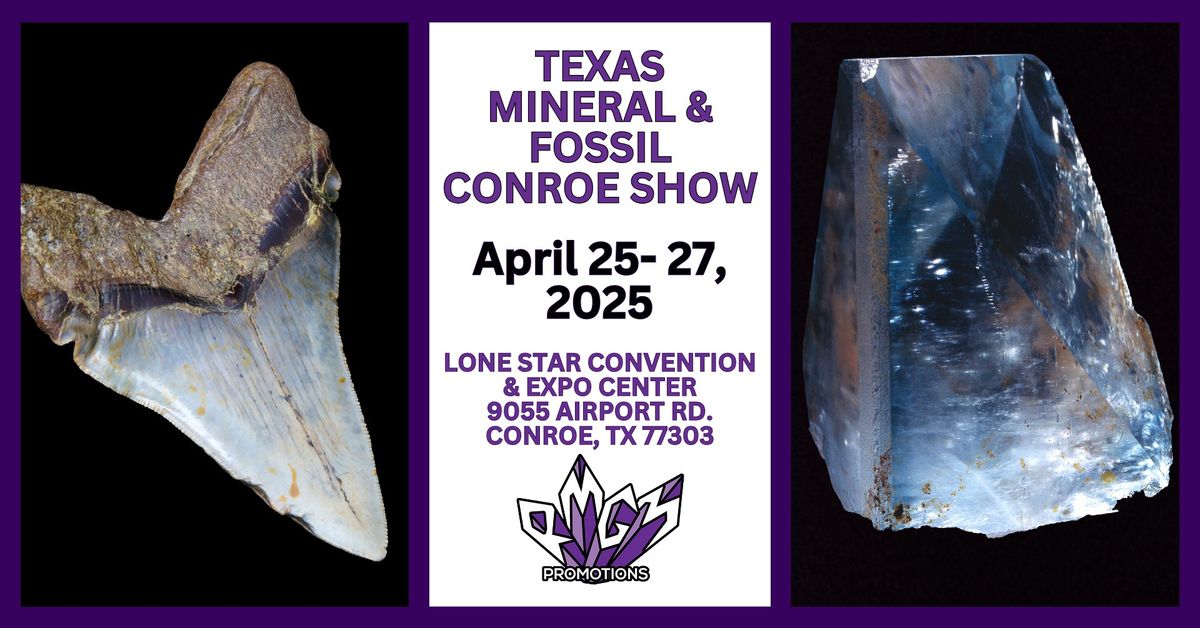 TEXAS MINERAL AND FOSSIL CONROE SHOW 