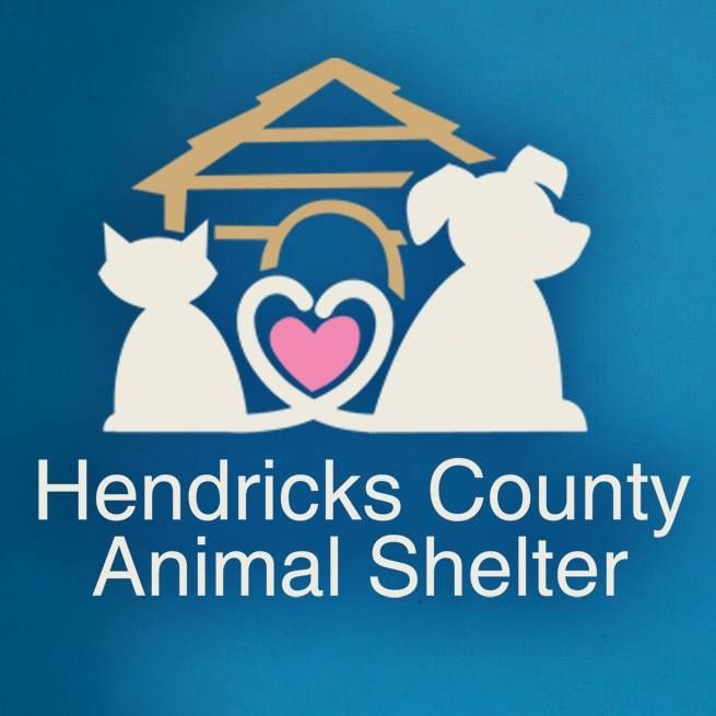 Hendricks Co Animal Shelter