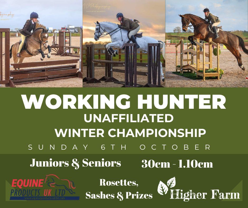 Working Hunter Unaffiliated Winter Championship