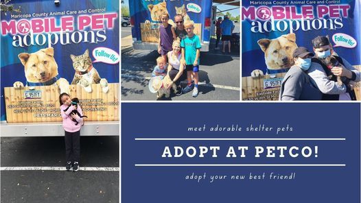 Petco Adoption Event In Phoenix 4535 E Thomas Rd Phoenix Az 85018 7614 United States 12 June 2021