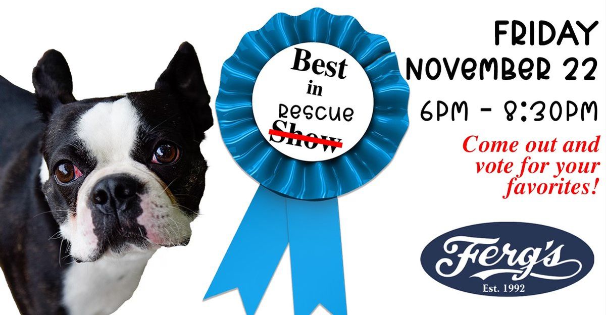 St. Pete's Best in Rescue Dog Show