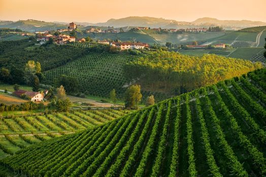 ANELLO DELLE GINESTRE DA ACQUI TERME