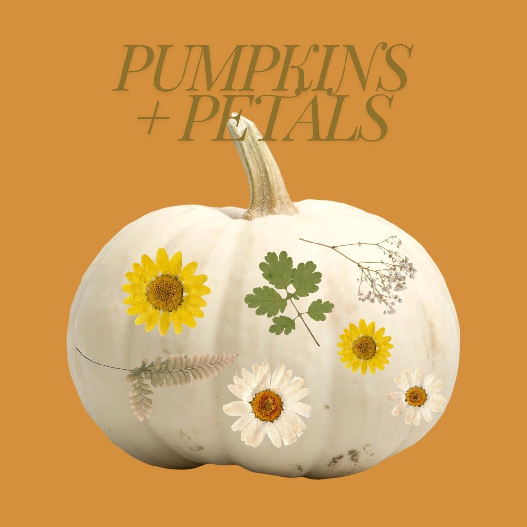 Pumpkins + Petals Workshop