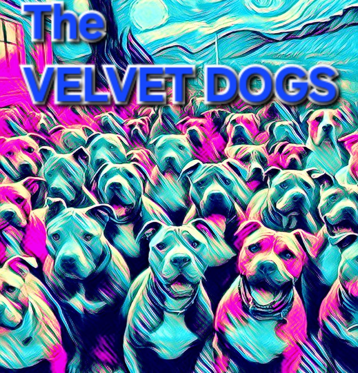 Velvet Dogs (Widespread Panic Tribute Band) at Four Quarter Bar