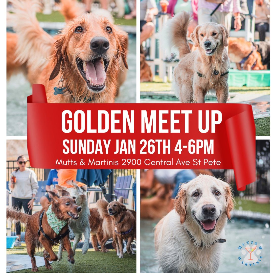 Golden Meet Up at Mutts & Martinis