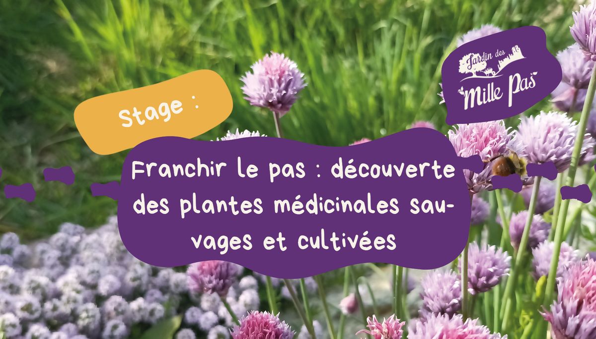 Stage 1 jour : d\u00e9couverte des plantes m\u00e9dicinales sauvages et cultiv\u00e9es