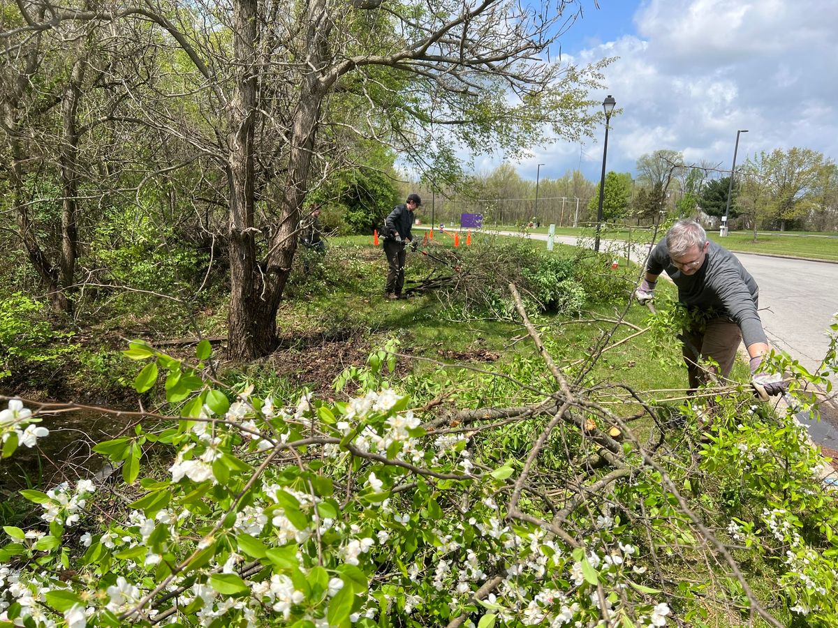 Earth Day Clean-up & Tree Planting