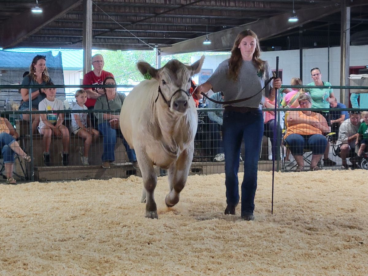 4-H Livestock Auction Sale and Picnic