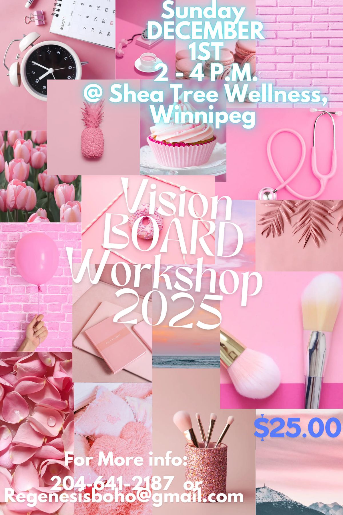 Winnipeg Vision BOARD Workshop