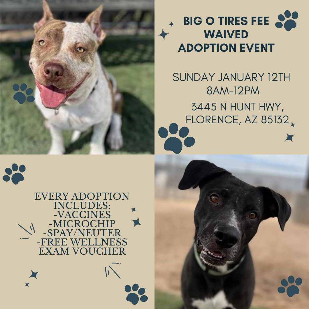 Big O Tires Fee Waived Adoption Event