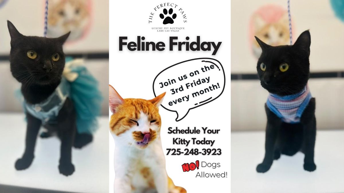 Feline Friday @ The Perfect Paws