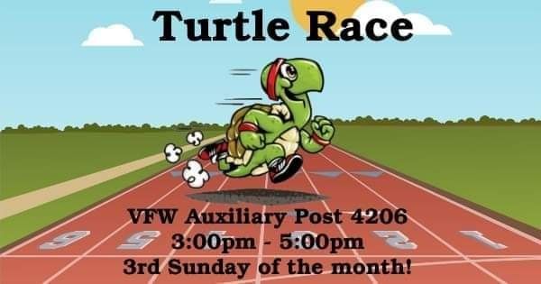 Auxiliary Turtle Race