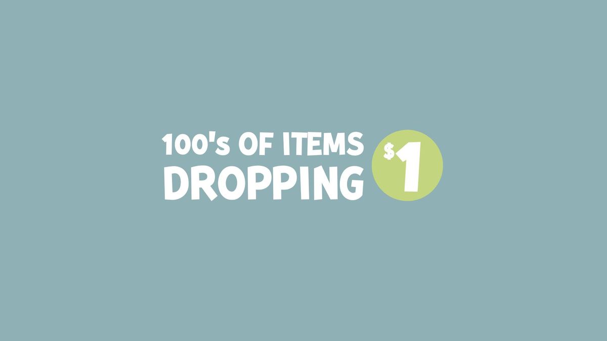 Big Bargain Blowout: 1000+ items for $1