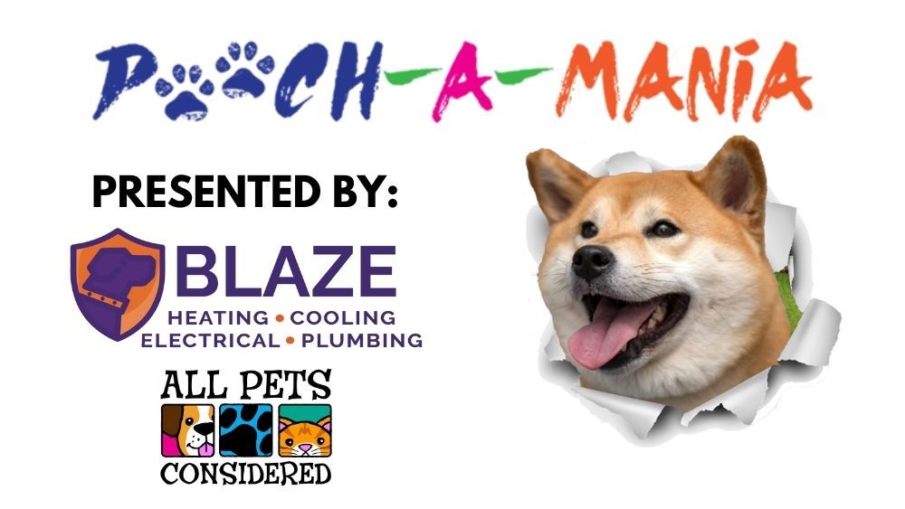 Blaze Heating, Cooling, Electrical and Plumbing Pooch-A-Mania