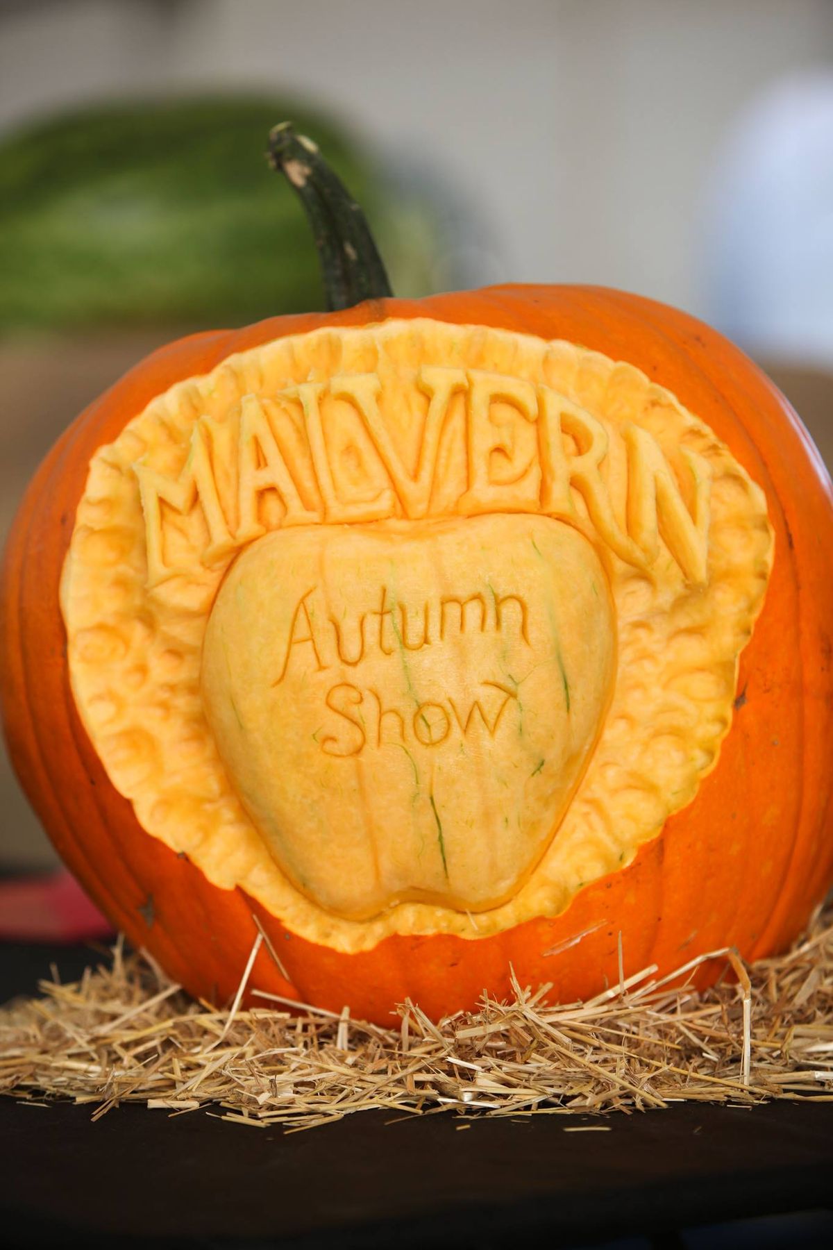 Malvern Autum Show, Malvern Showground