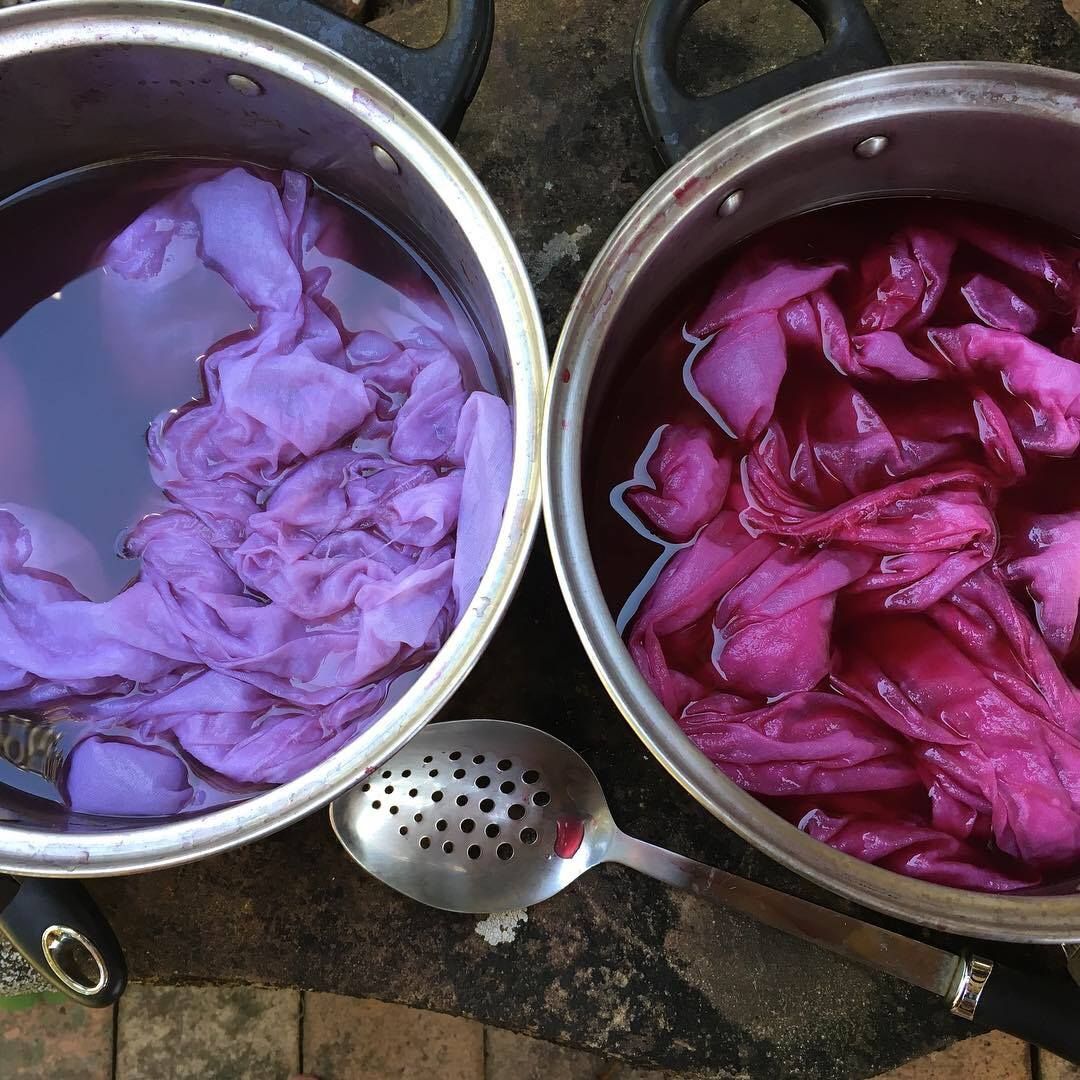 Introduction to Botanical Dyeing- Extraction Method  