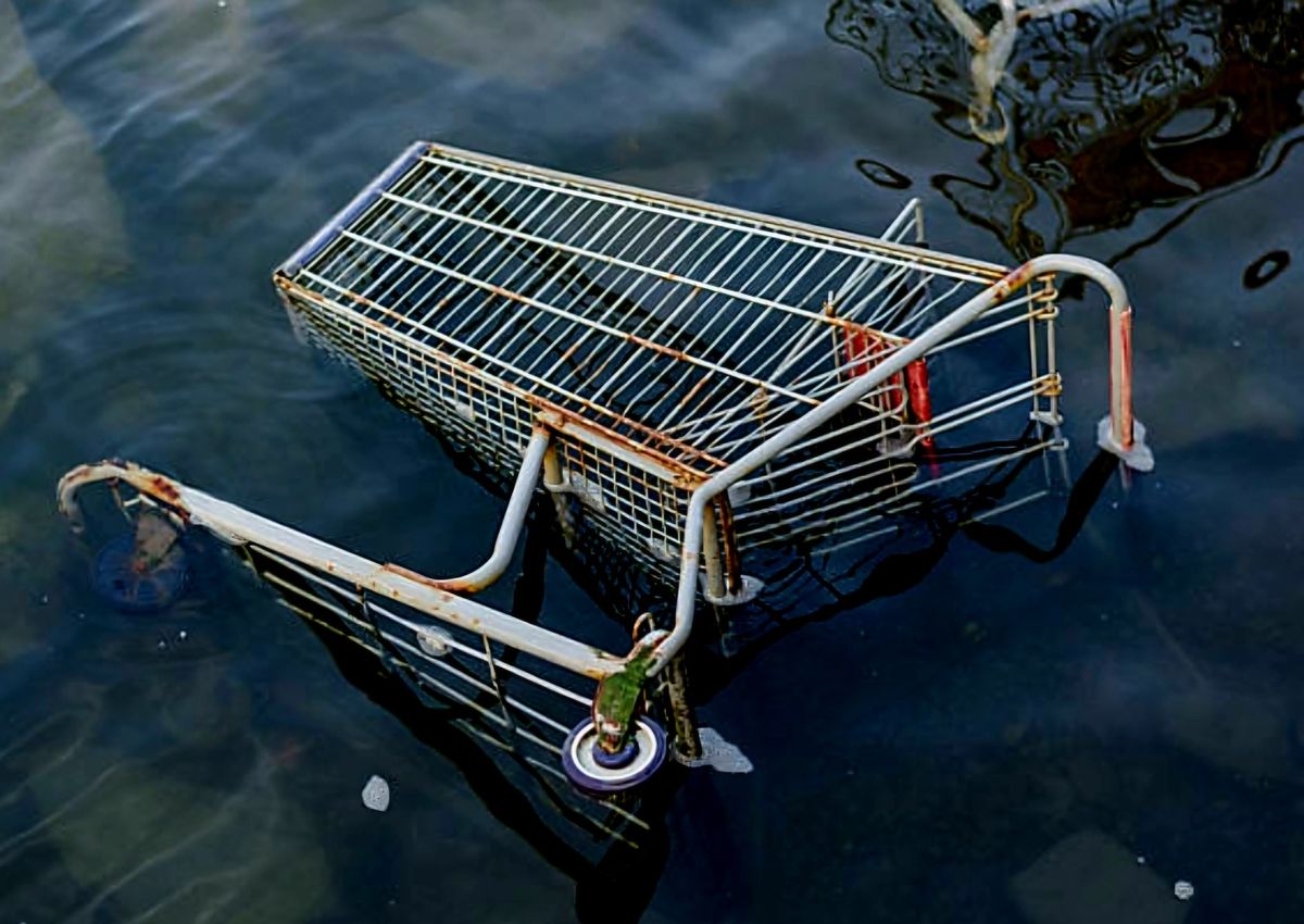 Volunteer Seminar for Buck Creek Shopping Cart Removal Project 