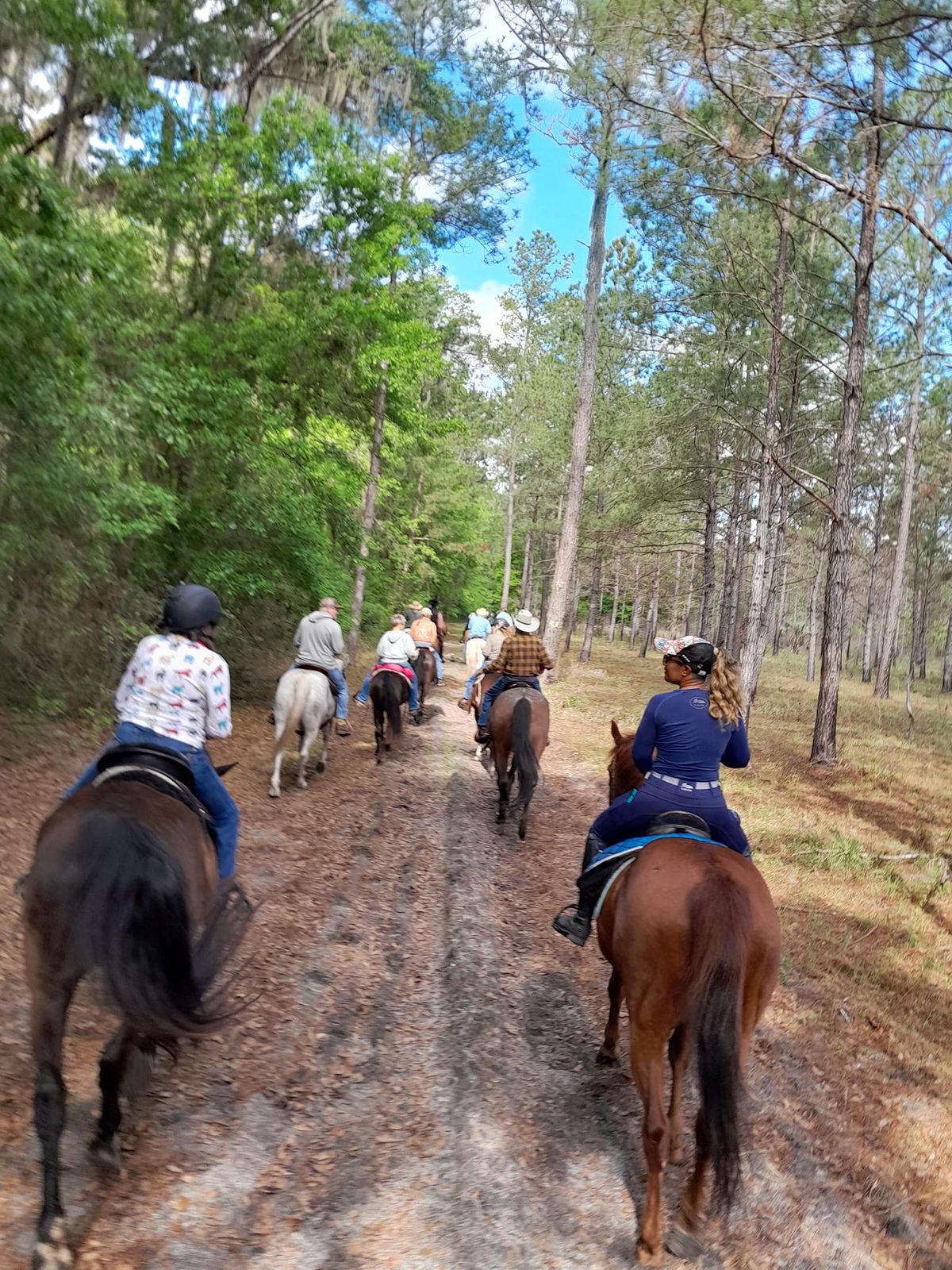 Trail Ride Sunday November 24, 2024 at Barr Hammock Preserve South Trailhead, riders up (ready) 10am