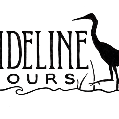 Tideline Tours
