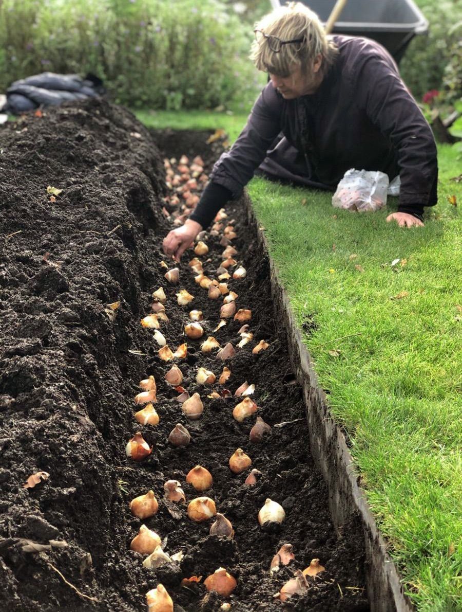 80th D-Day Anniversary Bulb Planting