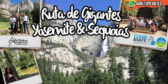 Adixion Roadtrip - Yosemite & Sequoias National Park.