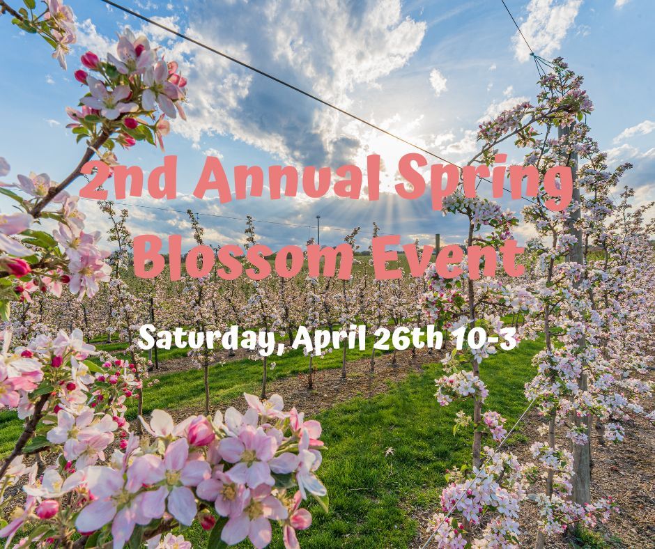 2nd Annual Spring Blossom Event