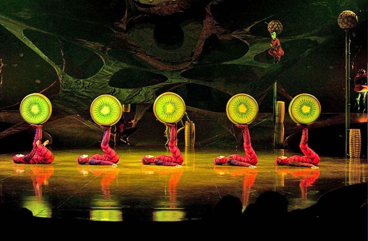 Cirque du Soleil: OVO - Houston