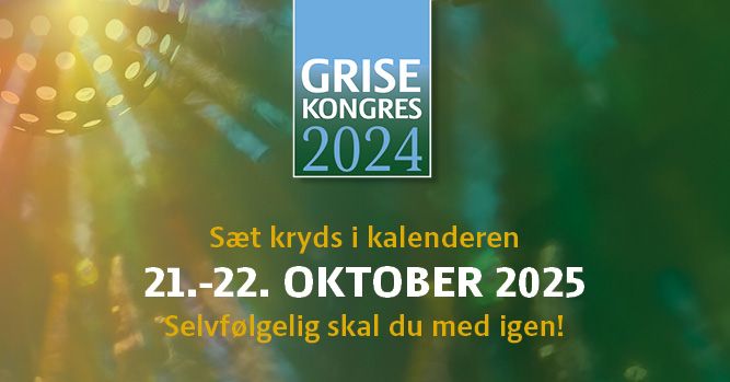 Grisekongres 2025 - S\u00e6t kryds i kalenderen