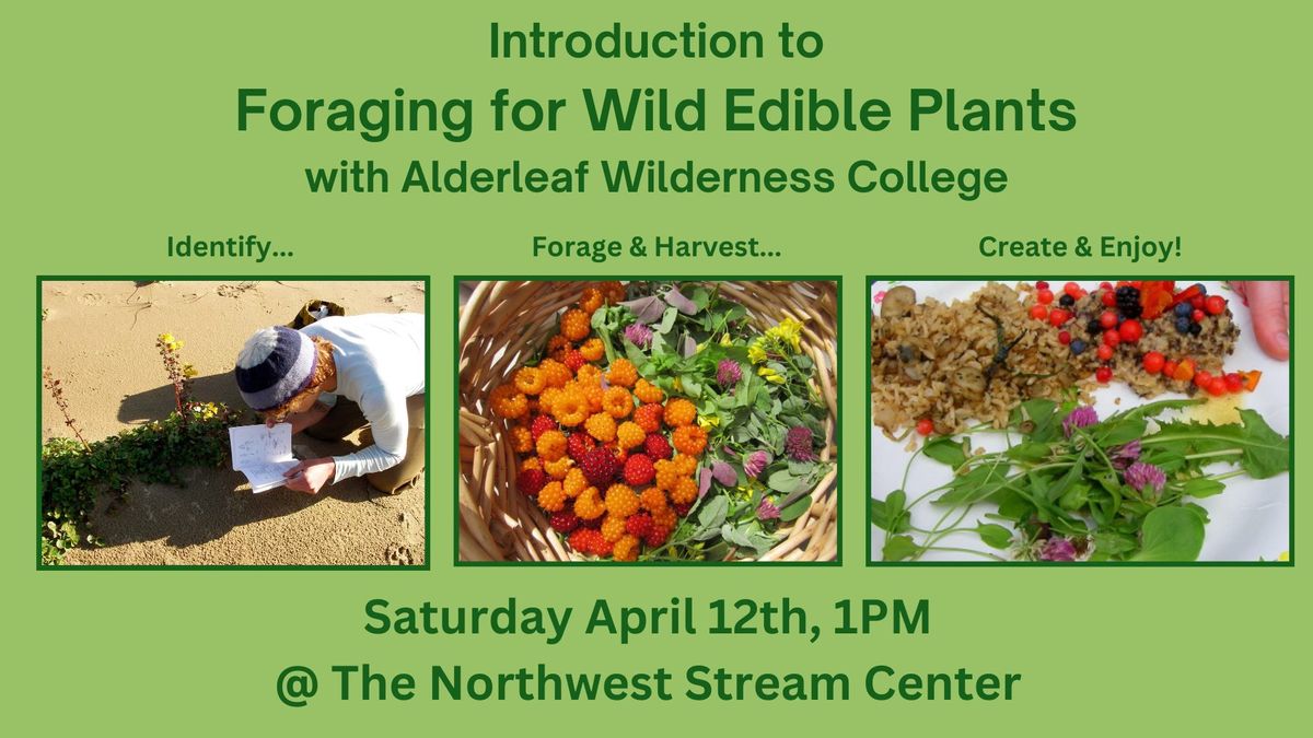 Introduction to Foraging for Wild Edible Plants