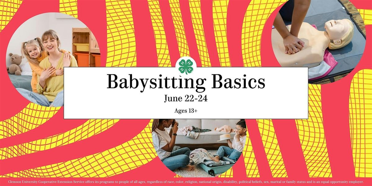Greenville County Babysitting Basics Course 2026