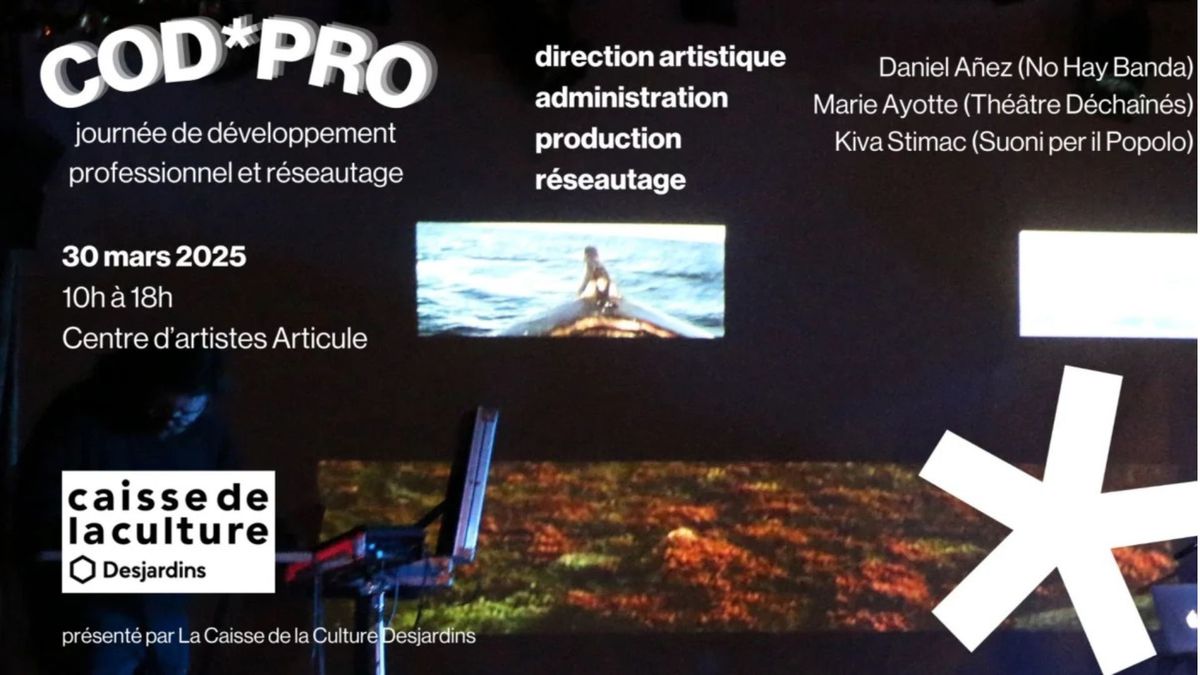 La Journ\u00e9e  COD*PRO - d\u00e9veloppement professionnel et r\u00e9seautage