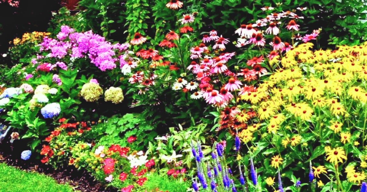 Selecting Perennials for Lower Maintenance