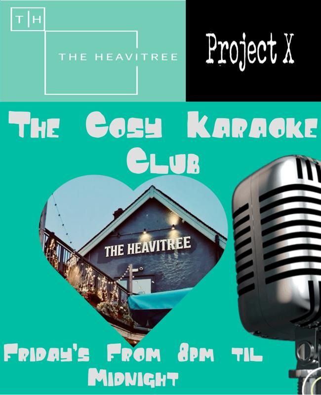 The Cosy Karaoke Club 