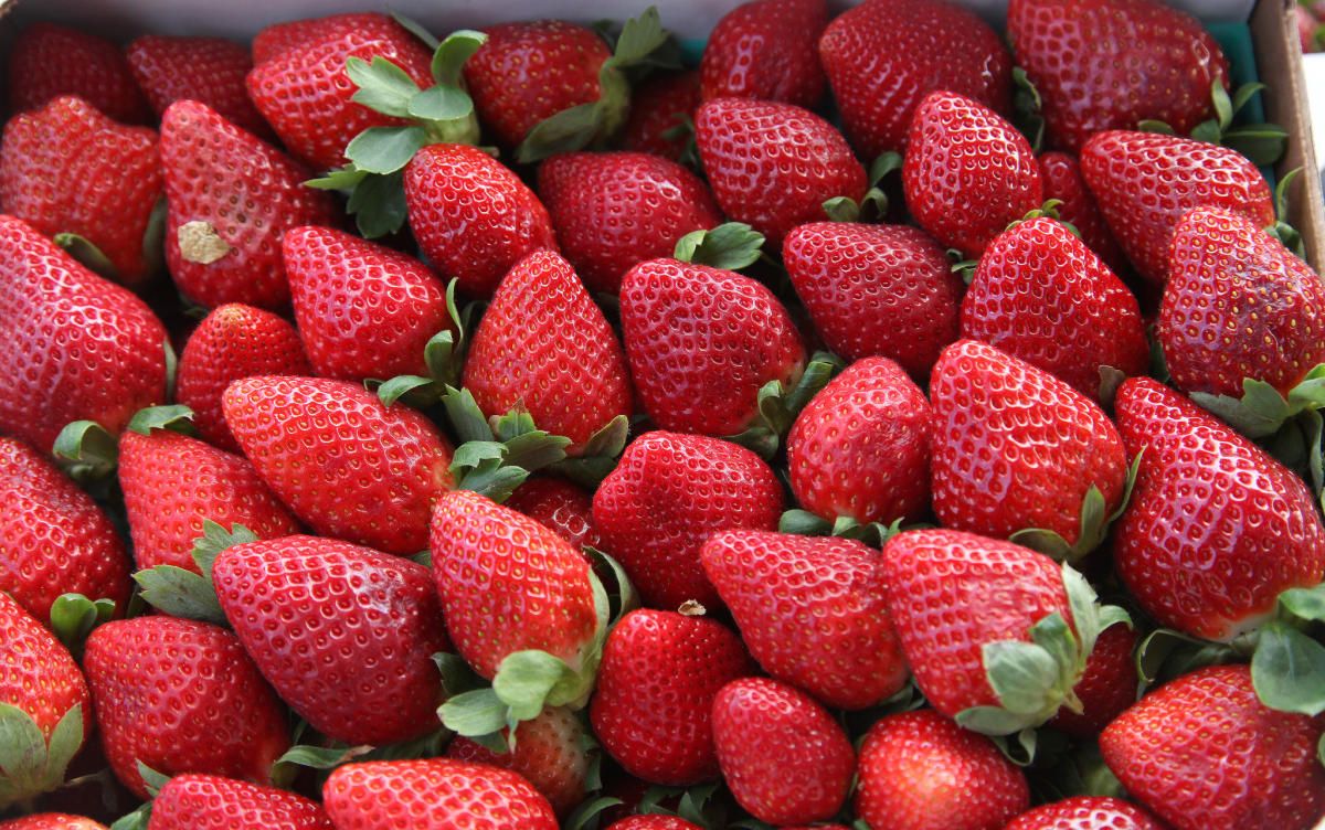 Strawberry Fest - Palm Bay - 7th Annual