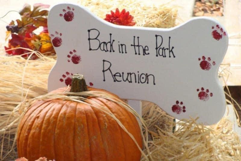 SAVE THE DATE - - 2024 MSRNT Bark in the Park