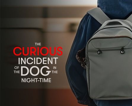 The Curious Incident of the Dog in the Night-Time