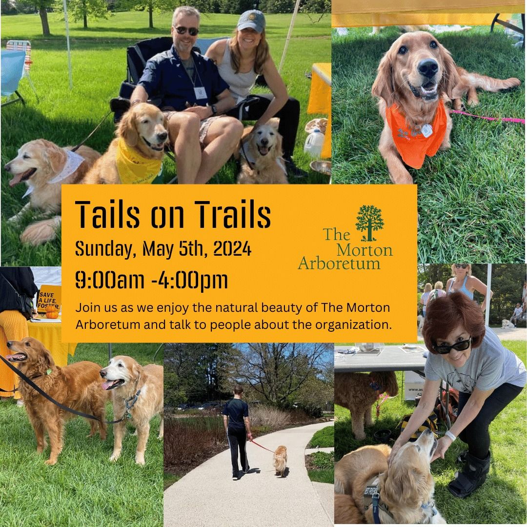 Tails on Trails @ The Morton Arboretum
