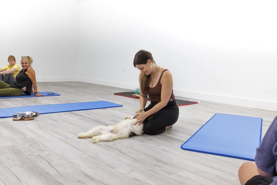 Puppy Yoga and donuts